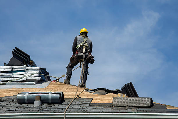 Professional Storm Damage Roof Repair technician working in Excelsior Springs, MO